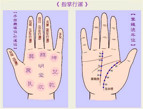 火行人面相|大乐手相：面相五行系列：火形人面相特征、运势、个性分析